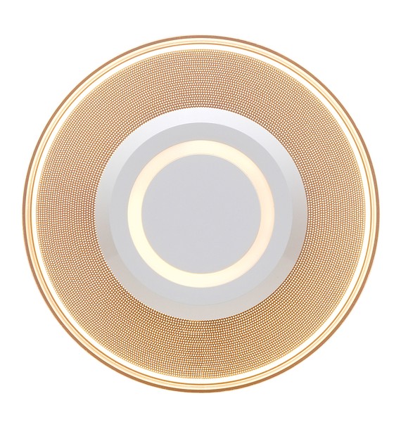 アイリスオーヤマ 家電 照明 小型シーリングライト 導光板 750lm 電球色 / 電化製品 生活家電 ライト・照明 天井照明