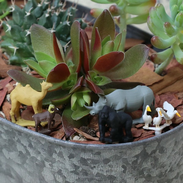 プラントフィギュア 【日本製】観葉植物などに使える園芸