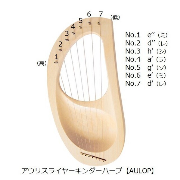 アウリスライヤー（キンダーハープ/ペンタトニック ）AULNP/AULOP兼用（弦販売）【木製】【楽器】【ギフト】の商品ページ｜卸・仕入れサイト【スーパーデリバリー】