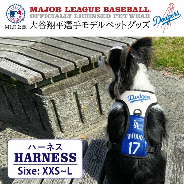 Baseball dog harness best sale
