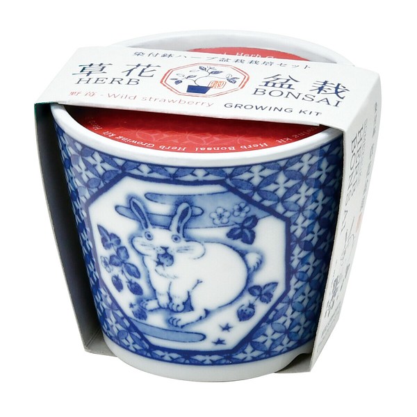 聖新陶芸】染付小紋 草花BONSAIの商品ページ｜卸・仕入れサイト