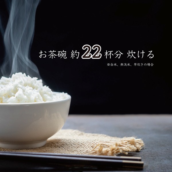 ROOMMATE 一升炊き炊飯器 加楽炊き RM-223Hの商品ページ｜卸