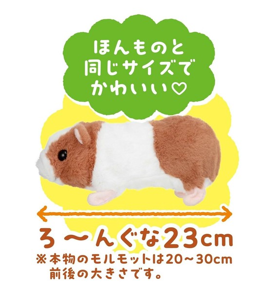 るんるん出品 すすめ! モル・ルンルンの商品ページ｜卸・仕入れサイト
