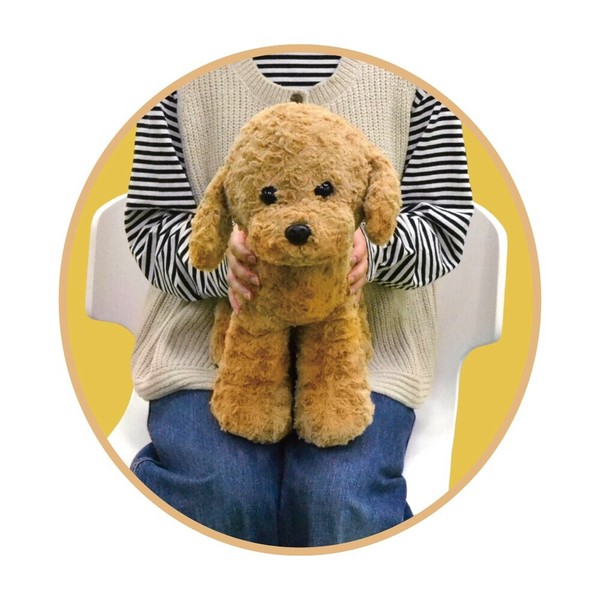 たちぬい(トイプードル)【犬/BIGぬいぐるみ】の商品ページ｜卸