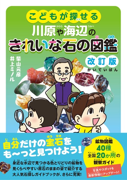 【半額】 Picture Dictionary | Import Japanese products at wholesale 語学+参考書