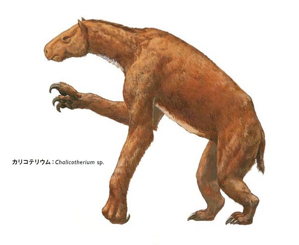 新版 絶滅哺乳類図鑑の商品ページ｜卸・仕入れサイト【スーパー