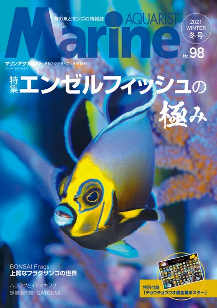 マリンアクアリスト No.98 エンゼルフィッシュの極みの商品