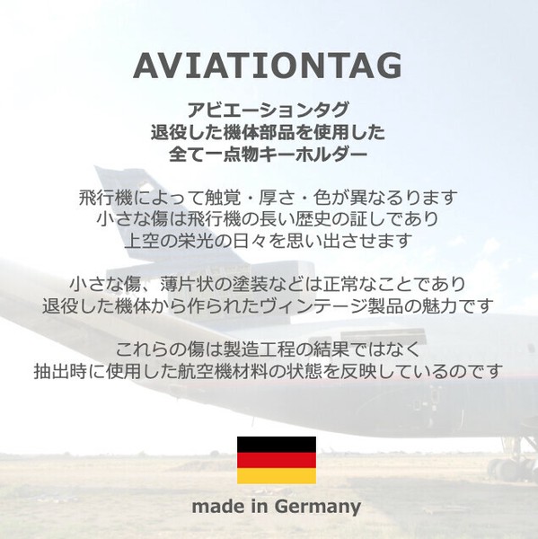 AVIATIONTAG AVIATIONTAG B757 EI-LBT Green エアリンガス航空